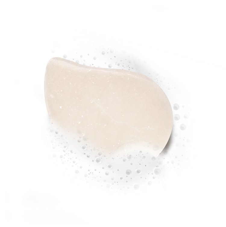 Shampoo Sólido Palta Fructis Hair Food Garnier Argentina