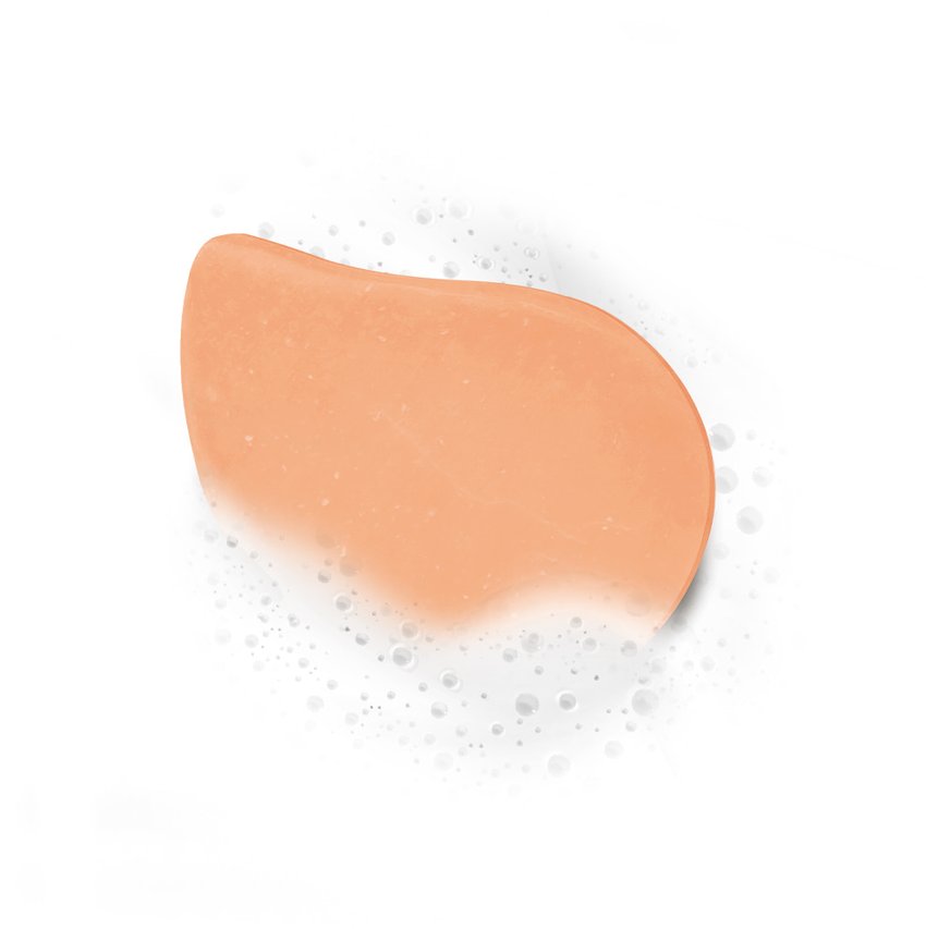 Shampoo Sólido Sandía Fructis Hair Food Garnier Argentina