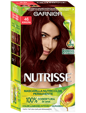 Tintura 46 Borgona Nutrisse Clasico Garnier Argentina